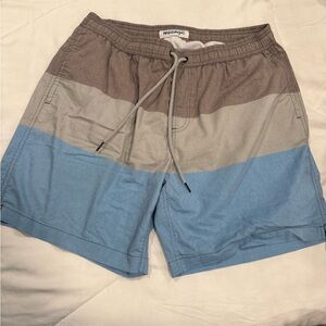 Men's Blue and Brown Swim Trunks